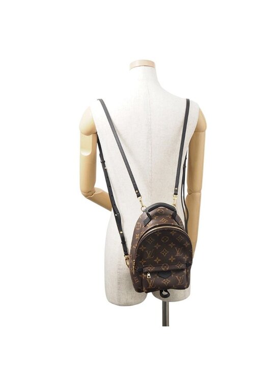 Louis Vuitton Monogram Palm Springs Backpack Mini main image 5